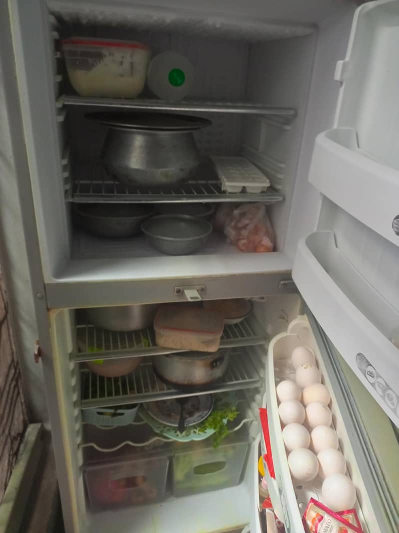 fridge 3