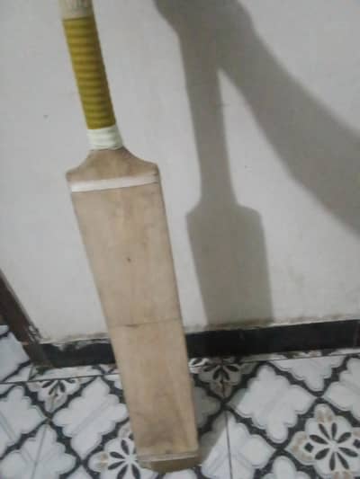 coconut bat
