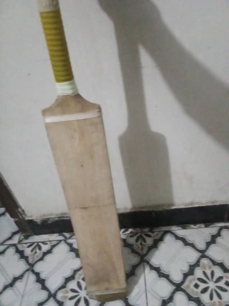 coconut bat 0
