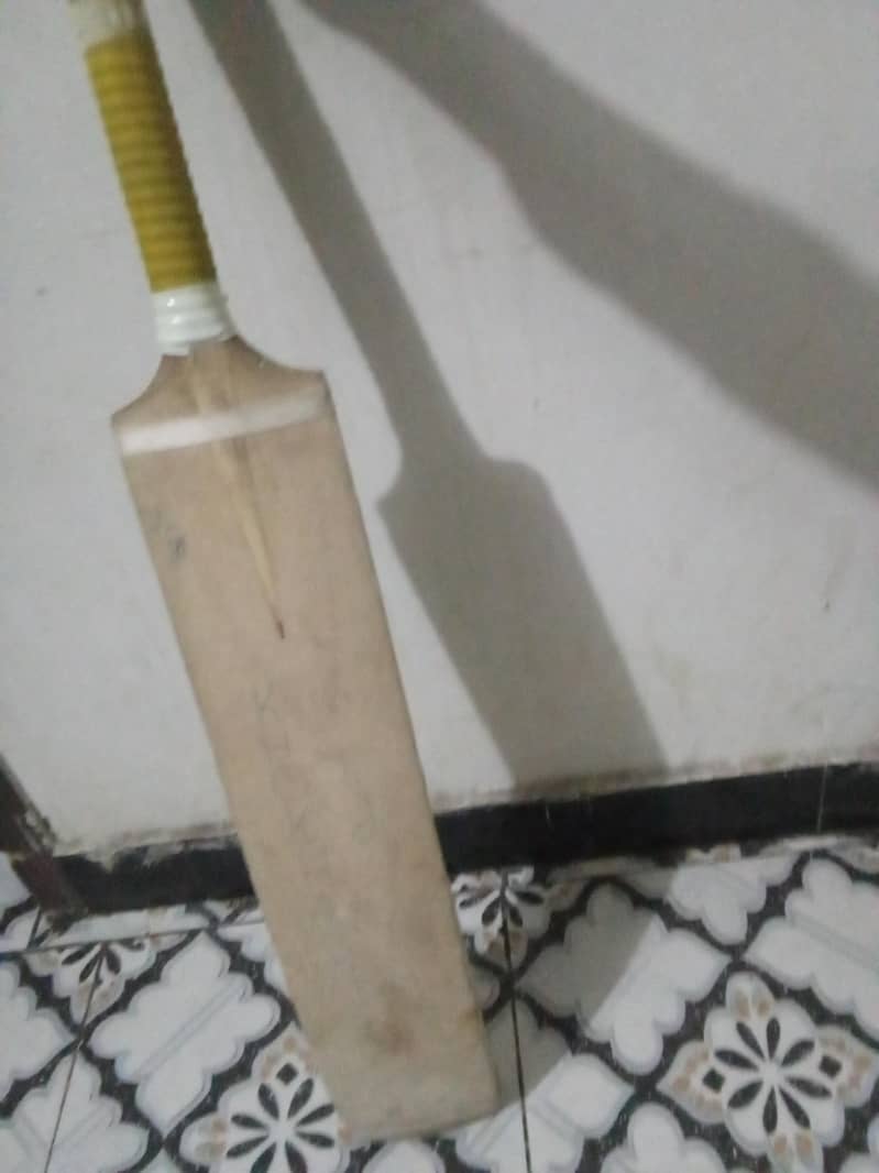 coconut bat 1