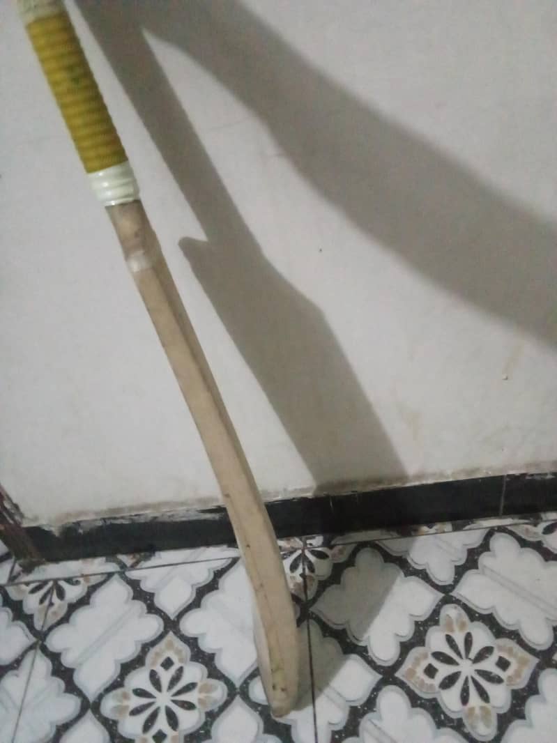 coconut bat 2