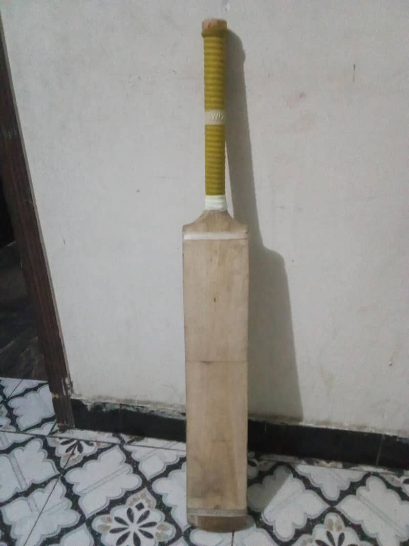 coconut bat 4