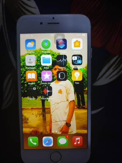 Apple iPhone 6S