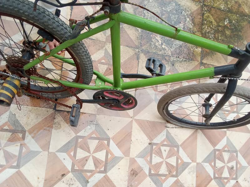 phonex cycle 1