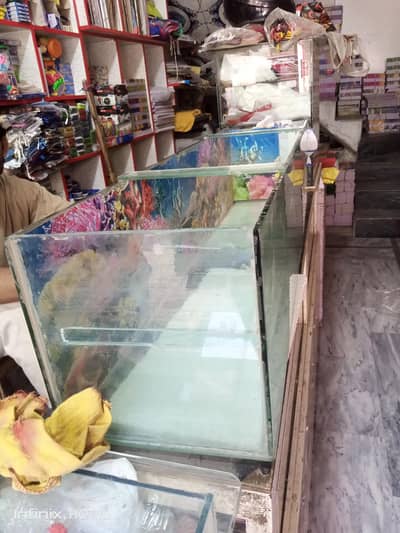 Fish Aquarium 