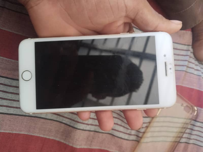 Apple iPhone 7 Plus 0