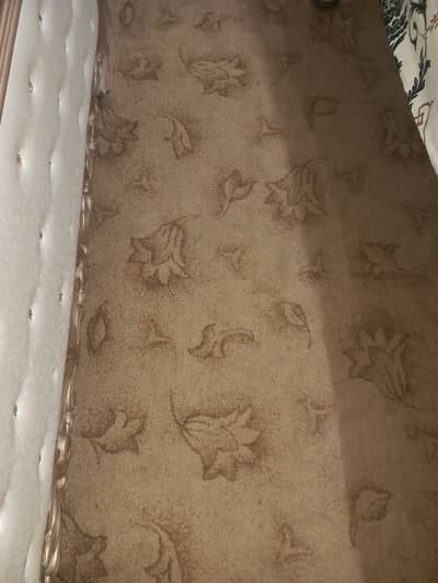 Carpet for sale + show case