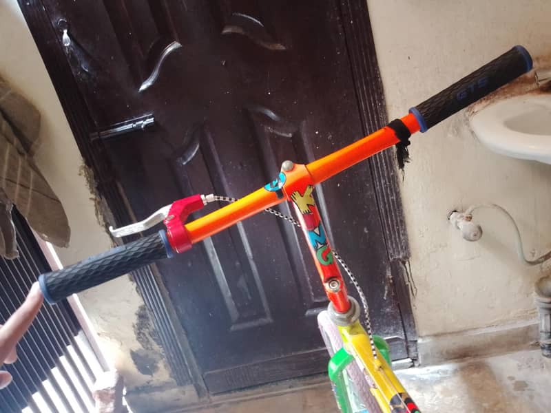 phoenix cycle 2