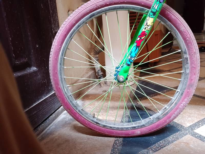 phoenix cycle 5
