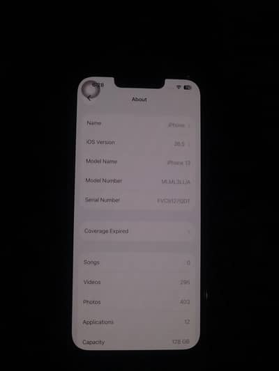 Apple iPhone 13
