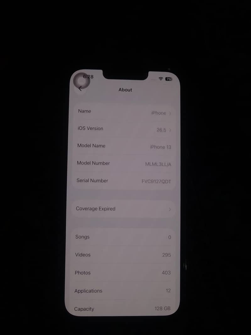 Apple iPhone 13 0