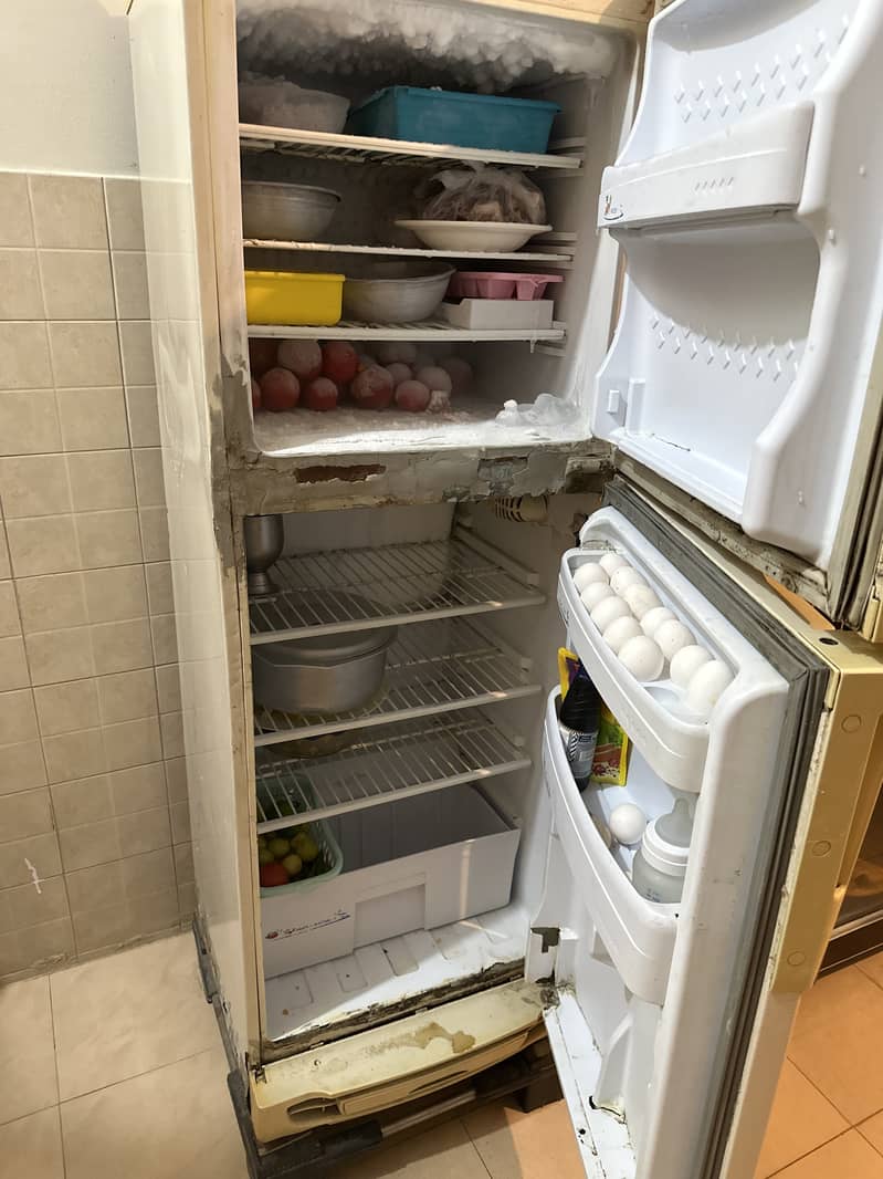 Refrigerator old 1