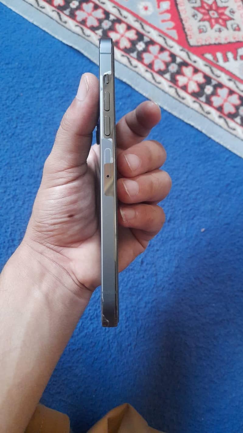 iphone 13 pro max 1