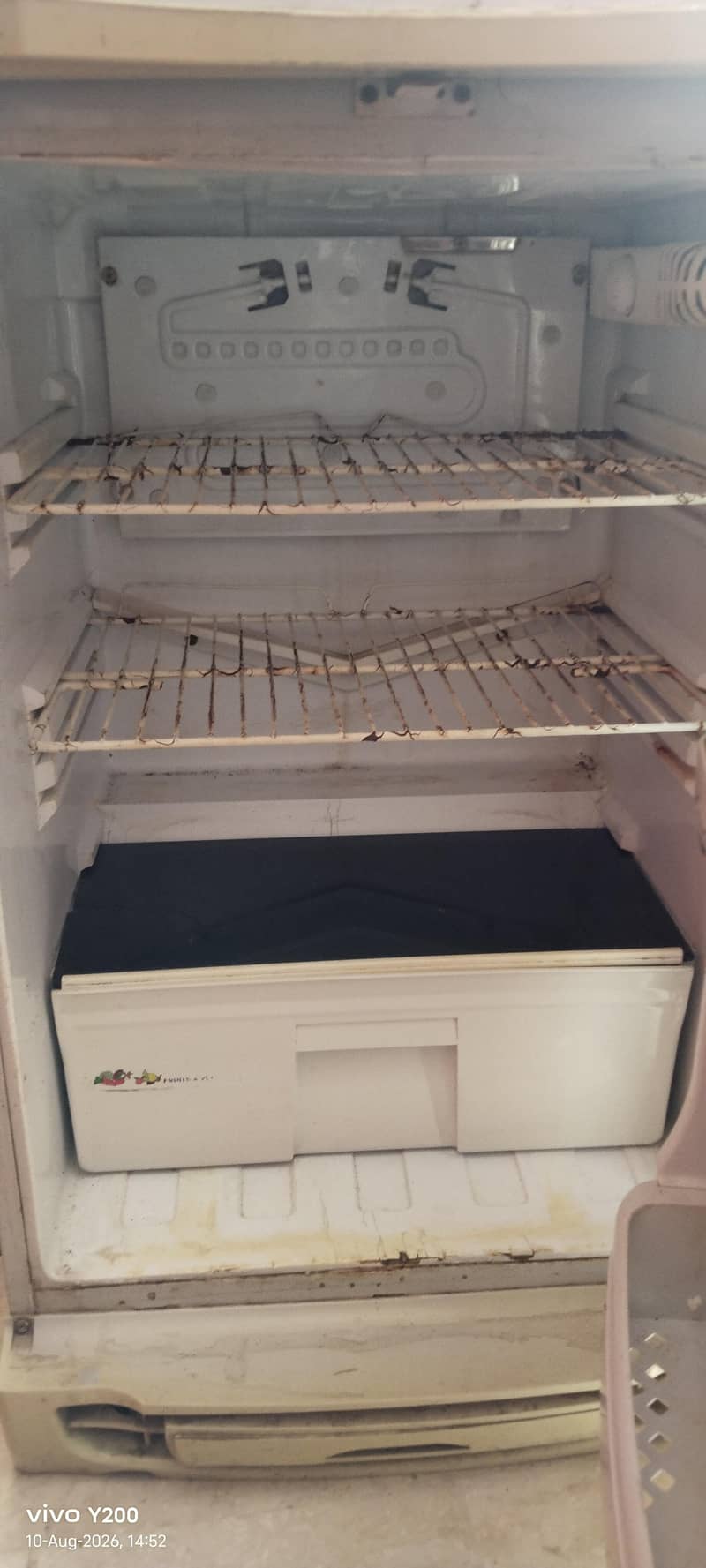 PEL FRIDGE 6