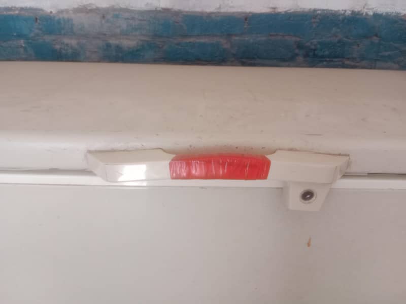 pel freezer 1