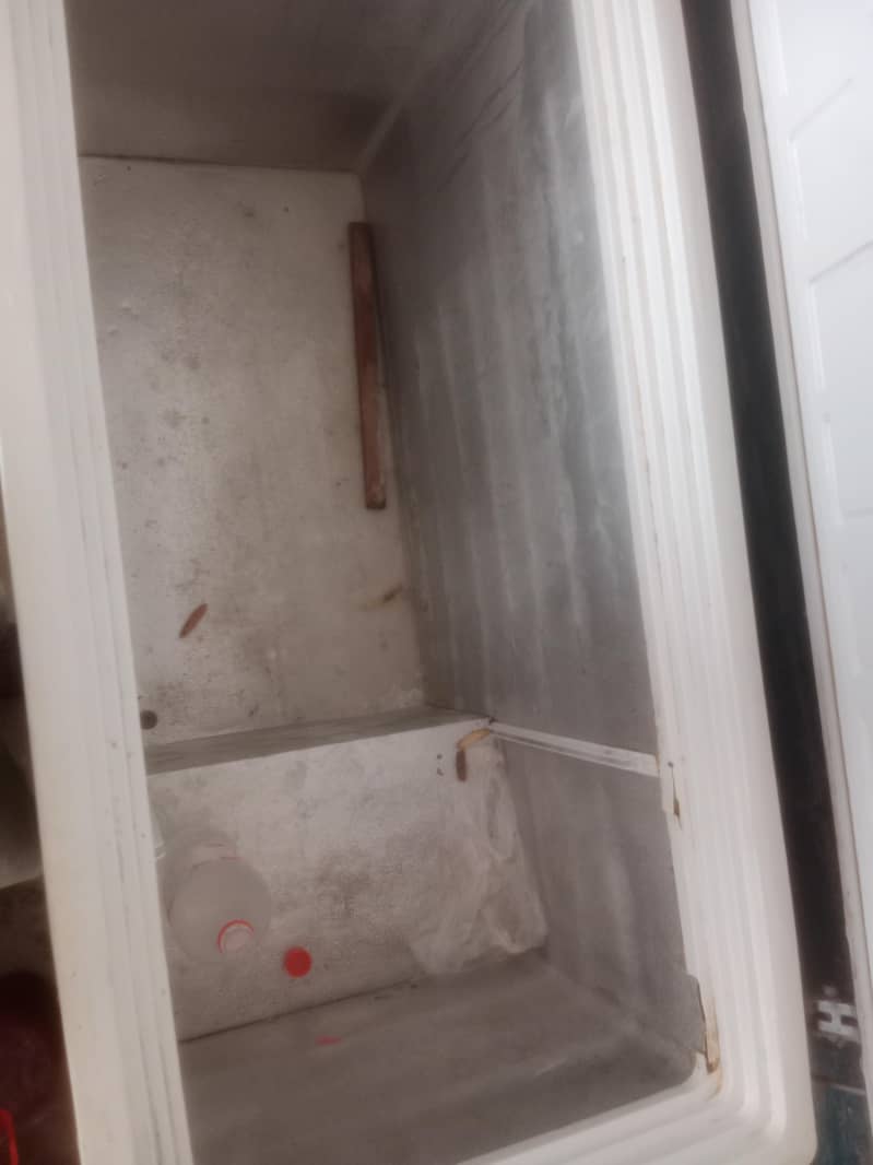 pel freezer 10