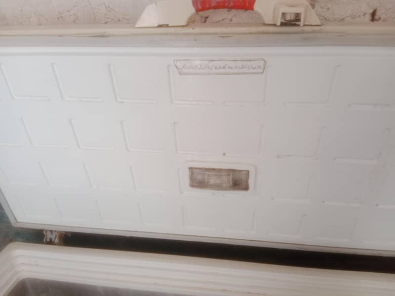 pel freezer 12