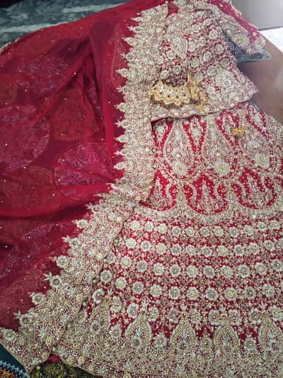 bridle lengha for sale