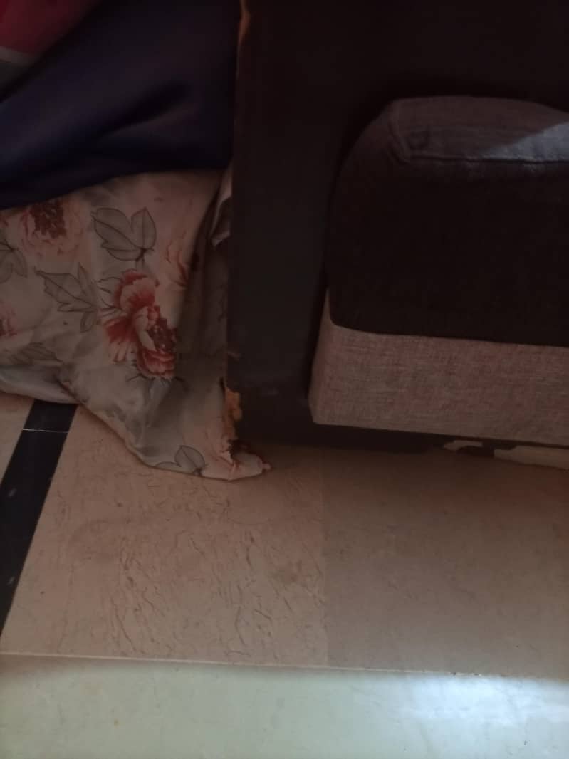5 seater sofa 6