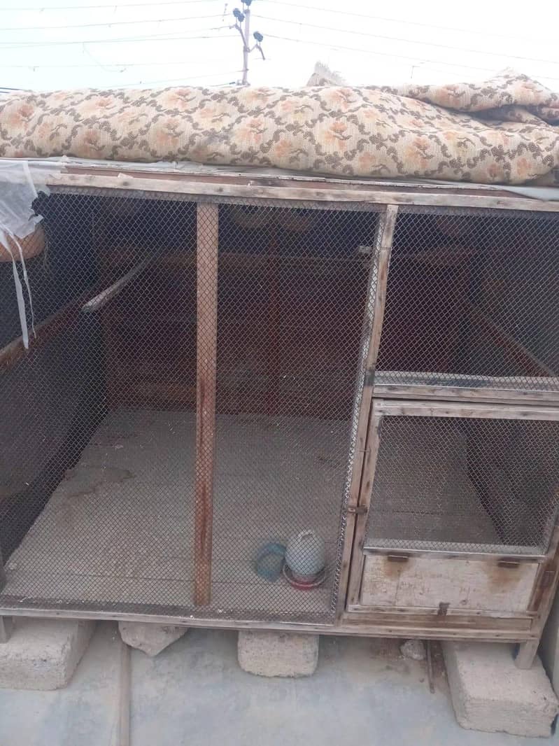 cagee 0