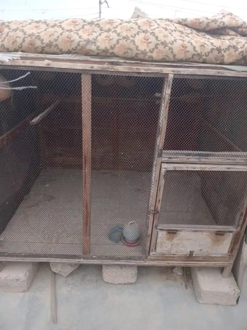 cagee — photo 2