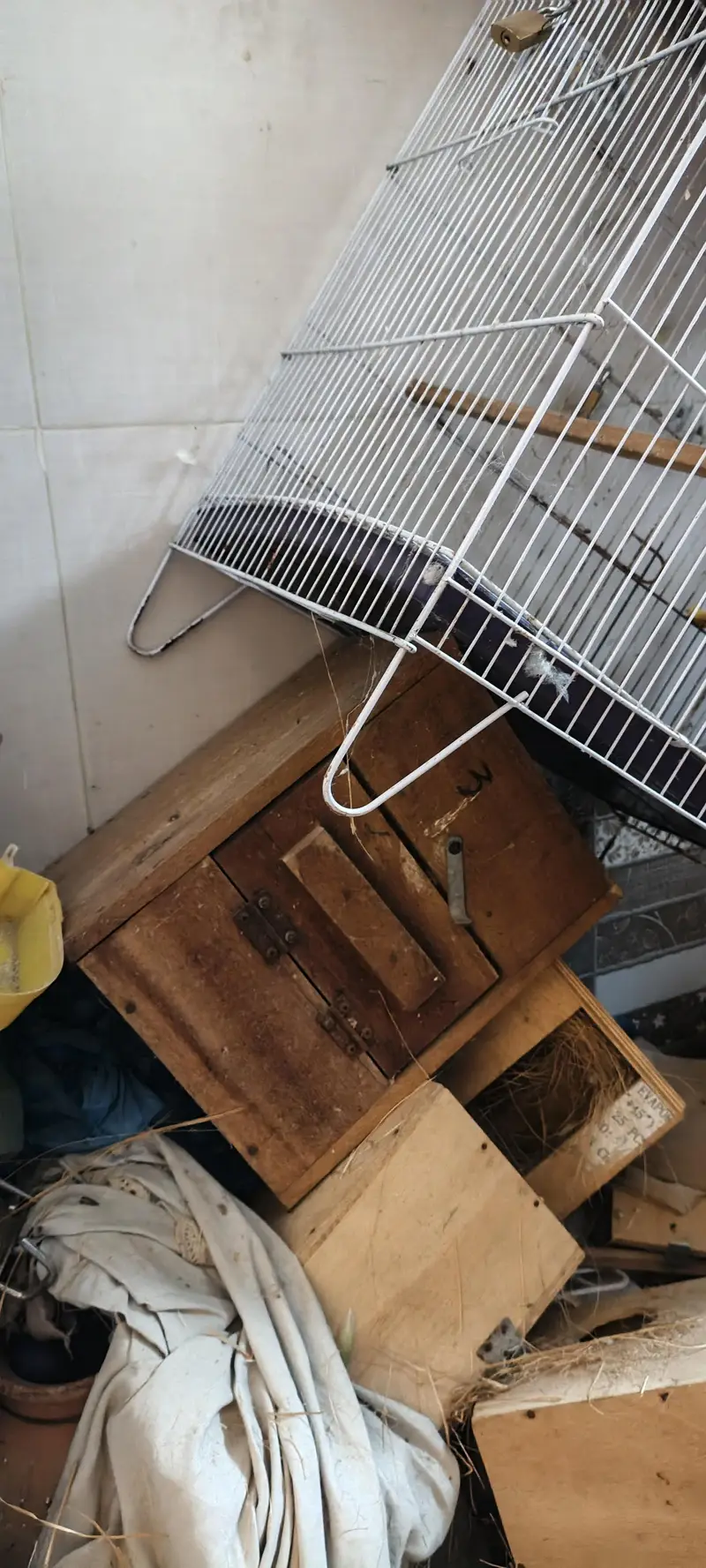 cages ,raw ring neck breeding box and small breeding box — photo 3