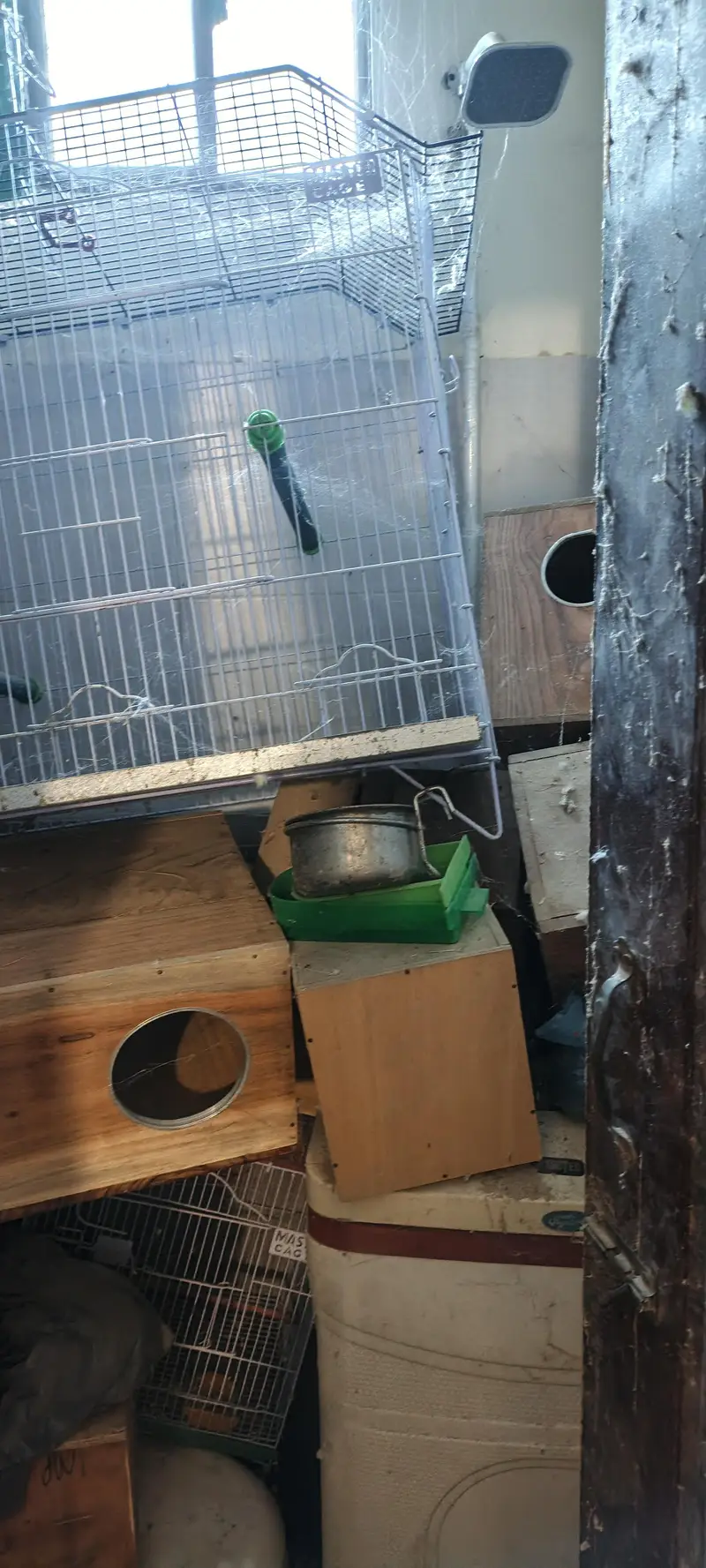cages ,raw ring neck breeding box and small breeding box — photo 4