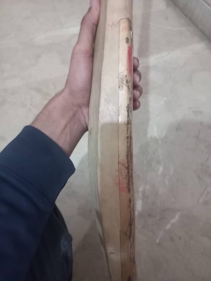 hardball bat 1