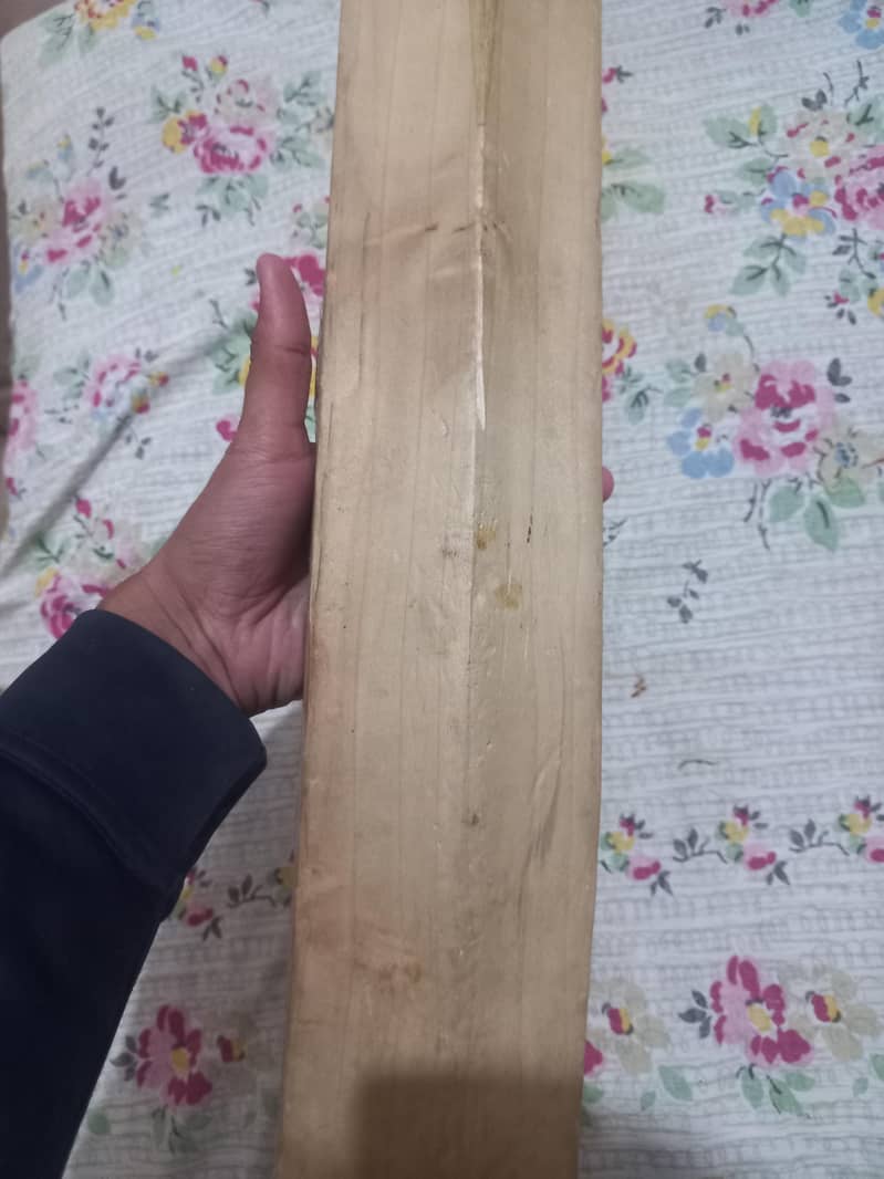 hardball bat 2