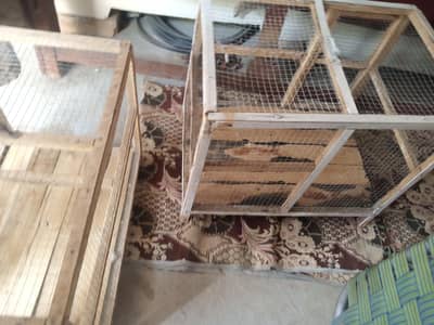 cages for sale
