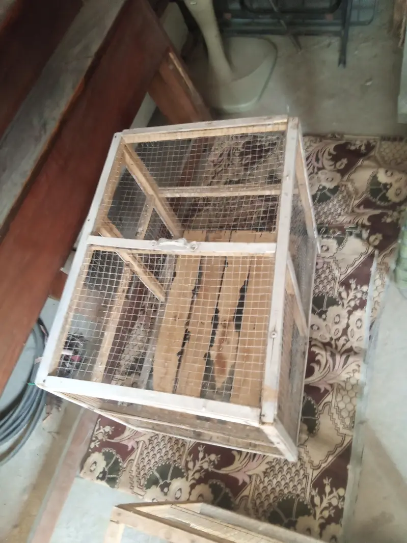 cages for sale — photo 2