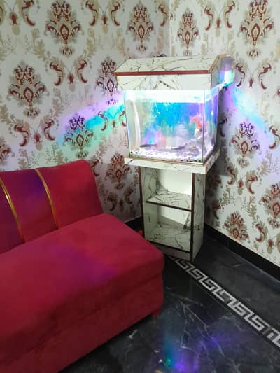 Fish Aquarium