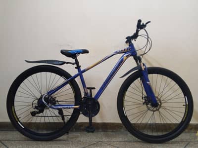 29 INCH IMPORTED (CHAMPION) GEAR CYCLE 3 MONTHS USED 03165615065