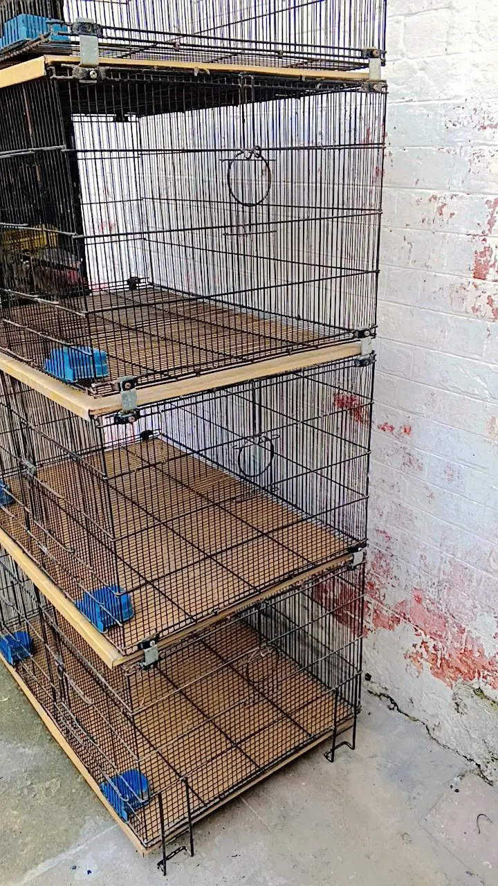 Zarar 8 portions folding cage for sale size 3*2 — photo 2