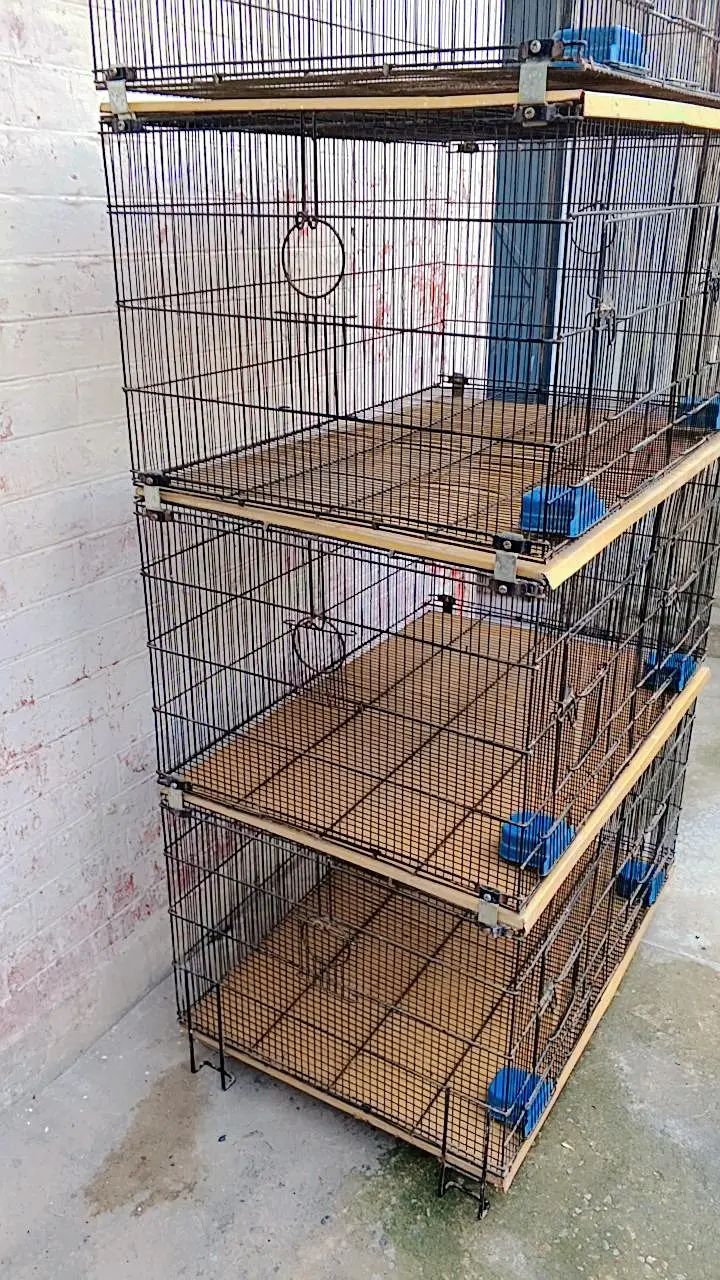 Zarar 8 portions folding cage for sale size 3*2 — photo 3