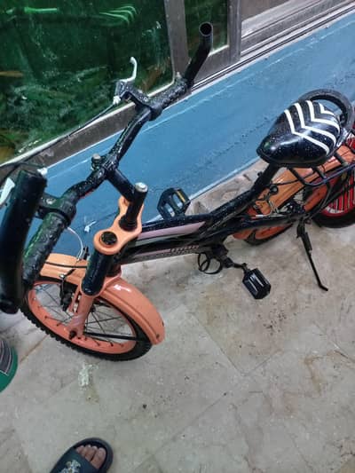 1 cycle for kids. .