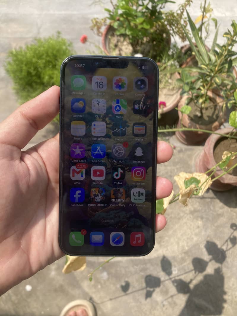 Apple iPhone 13 0