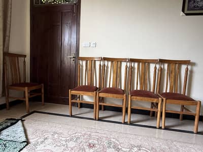 Dinning Chairs