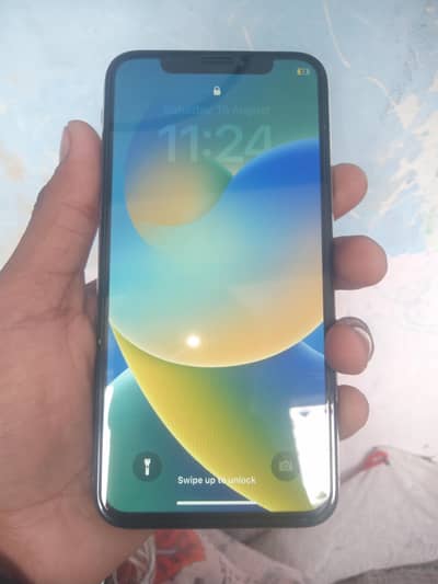 Apple iPhone X