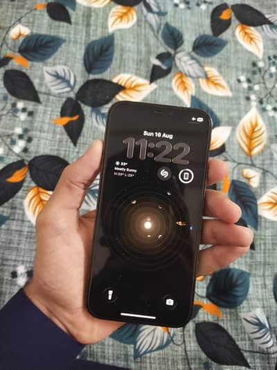 Apple iPhone 12 Pro