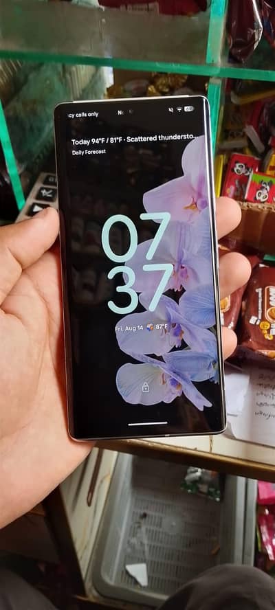 google pixel 6 pro pta prove ha