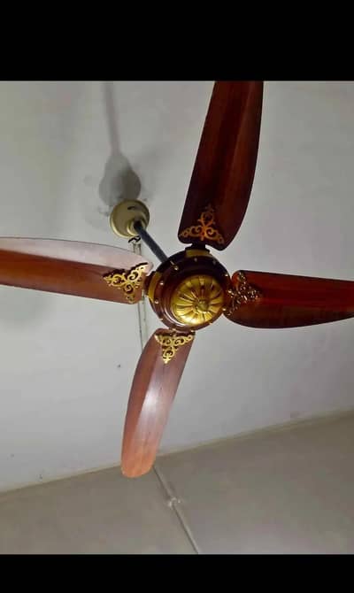 parwaz company