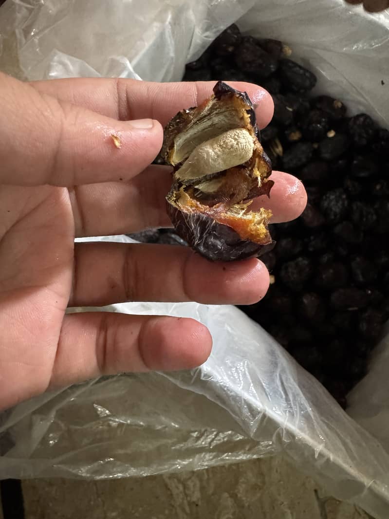 organic dates 6