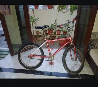 A single frame cycle for 10 to 14 boys