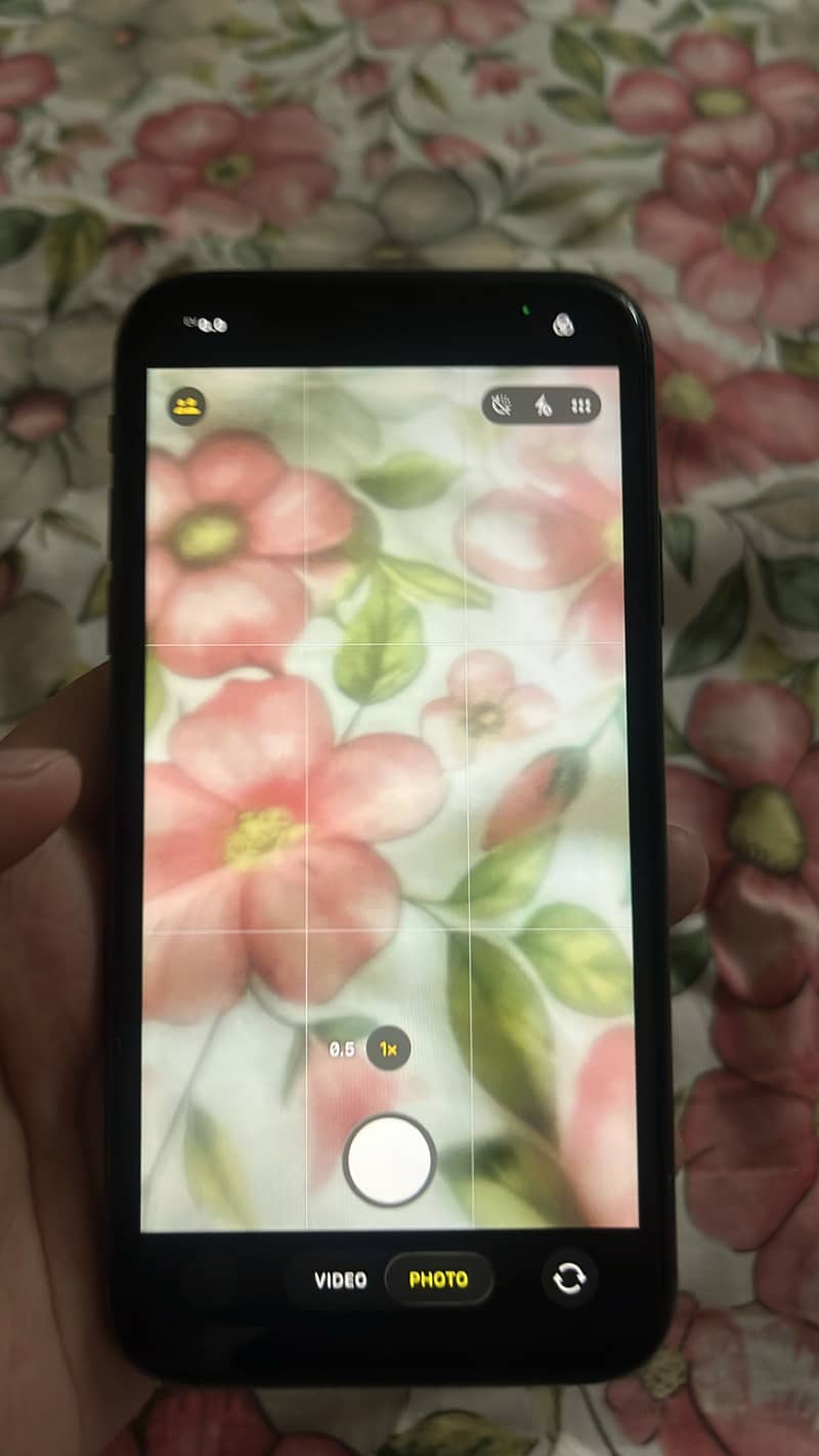 Apple iPhone 11 1