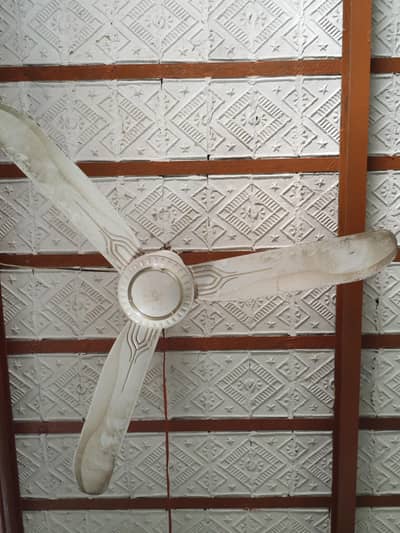 Used Ceiling Fan in Excellent Condition!