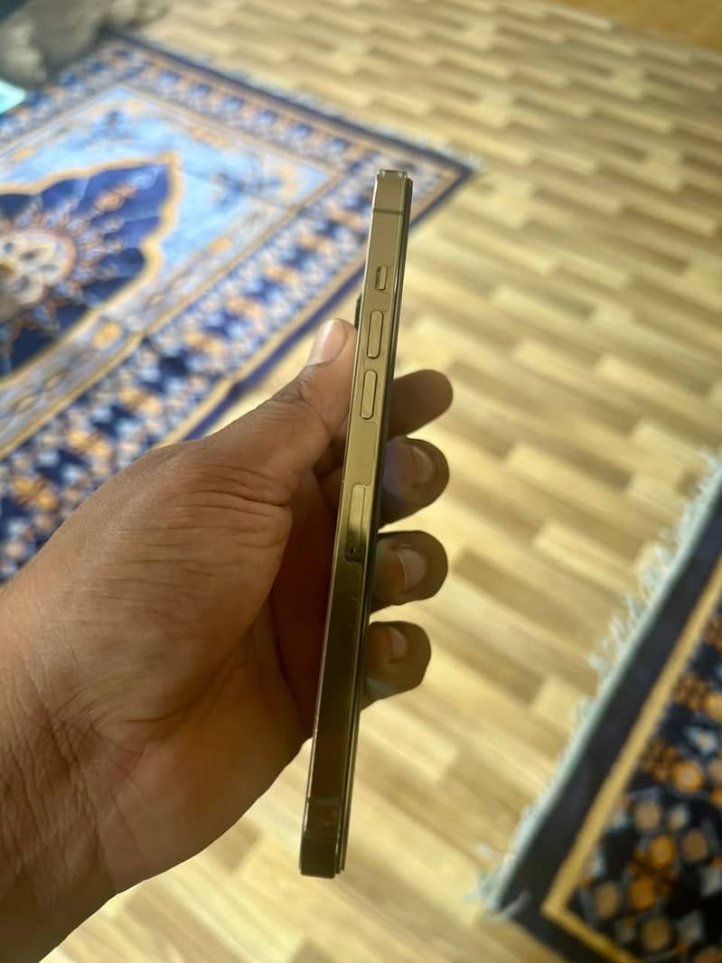 Apple iPhone 12 Pro Max 1
