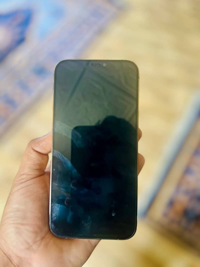 Apple iPhone 12 Pro Max 3