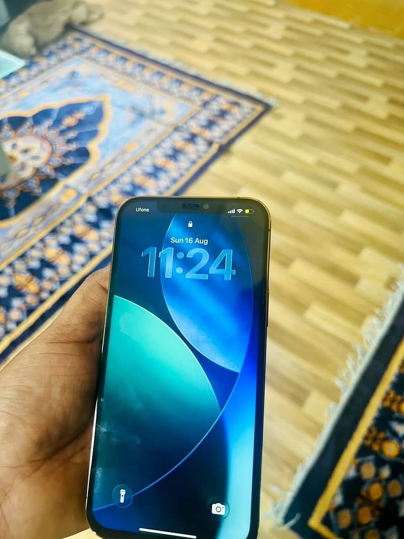 Apple iPhone 12 Pro Max 4