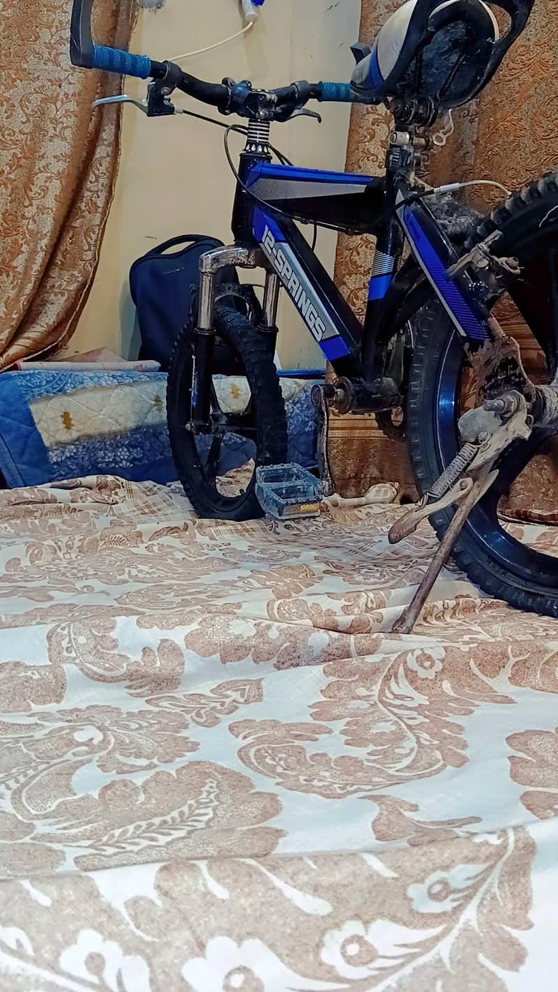 bicycle 2